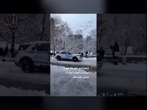 شجار بكرات الثلج يضر بسيارة شرطة في نيويورك خلال عاصفة