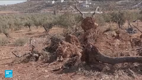 الضفة الغربية: ارتفاع عدد الاعتداءات الإسرائيلية والقتلى الفلسطينيين خلال عامين