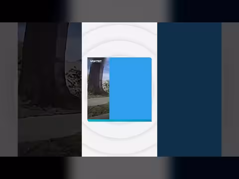 سائق تسلا ينجو من حادث خطير بنظام القيادة الذاتية