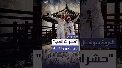 انتشار حشرة الحب في كوريا الجنوبية وتأثيرها على الحياة اليومية