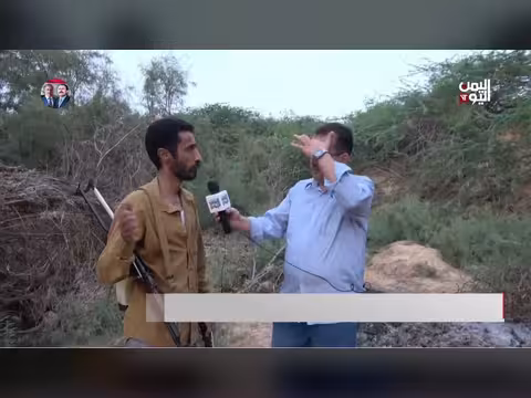 المهرة: نداء أهالي حي بن حجله لقلع الأشجار