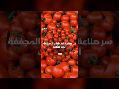 سر صناعة الطماطم المجففة