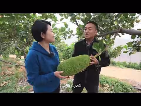 جبال مزينة بالفاكهة في الصين