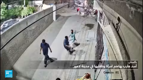 هجمات أسود في تركيا وأستراليا وباكستان