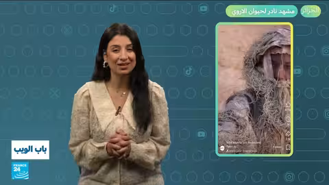 تونس: جدل حول إخلاء قصر أثري مهدد بالسقوط وأخبار متنوعة