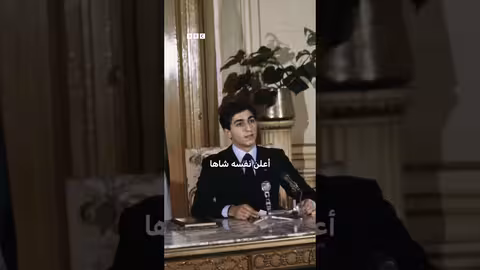 رضا بهلوي: دوره في الاحتجاجات الإيرانية