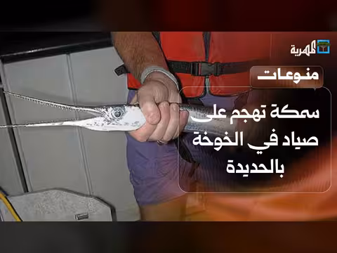 سمكة تهاجم صياداً في الخوخة بالحديدة