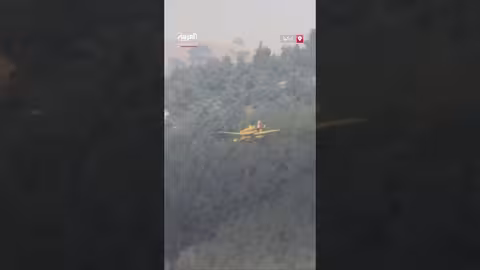 حرائق غابات بورصة التركية تتصاعد