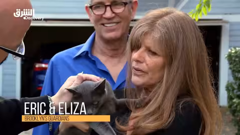 ترويض القطط الشقية: شجاعة قطة - الحلقة 9 من الموسم الثاني