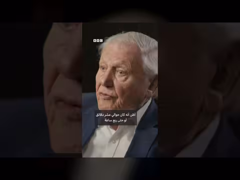 أتينبورو يستعيد لحظة لقاءه مع غوريلا الجبال