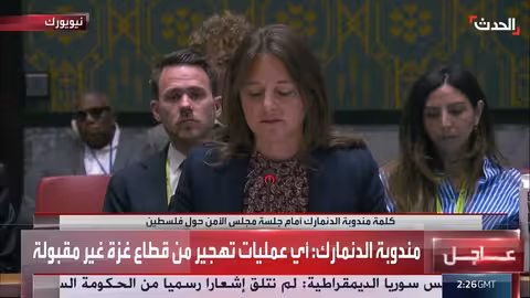 غزة: الدنمارك تدعو لوقف إطلاق النار وإيصال المساعدات