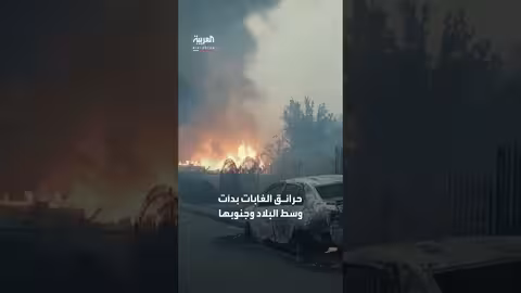 تشيلي تعلن حالة الكارثة بسبب حرائق الغابات