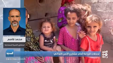 هل يستحوذ الأمن الغذائي على إصلاح الزراعة في اليمن؟