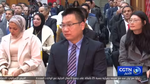 احتفال مصر بالتبادلات الثقافية الصينية الإفريقية