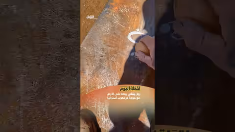 رجل يقلي بيضة على الأرض في أستراليا