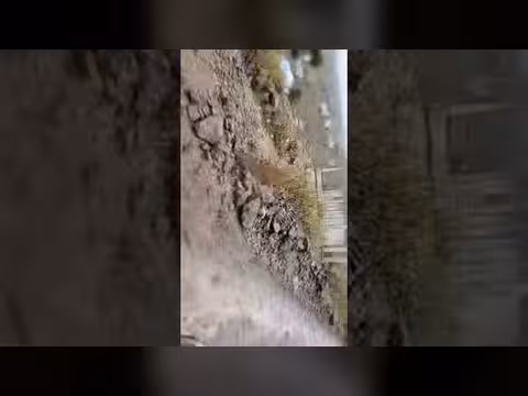 قناة نشوان الرزمي تبدأ بثًا مباشرًا