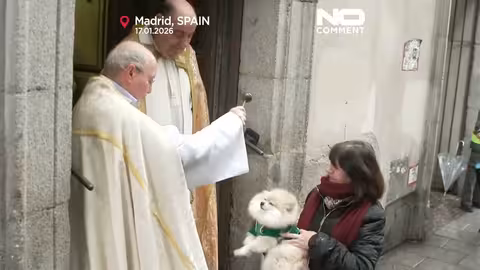 مباركة الحيوانات الأليفة بالماء المقدس في مدريد