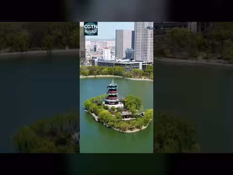 تاييوان في الربيع جمال لا يقاوم