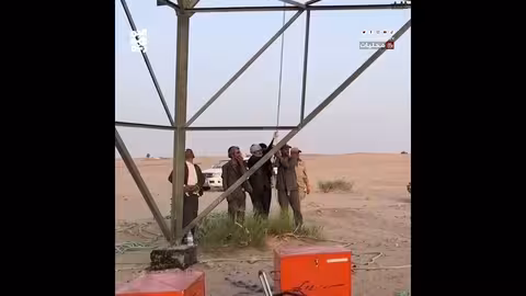 تحذير من قطع الأشجار قرب خطوط الكهرباء في مأرب