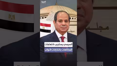 السيسي يرد على اتهامات بتزوير انتخابات النواب ويلمح لإمكانية الإلغاء