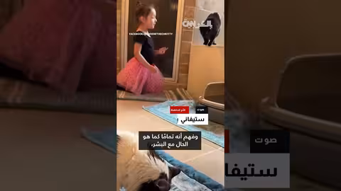 قط بـ4 آذان وذيل ملتف معروض للتبني..إقبال كبير