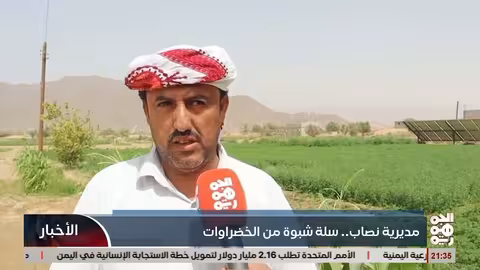 نصاب بشبوة: سلة الخضراوات الغنية للمحافظة