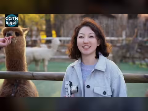 من الأساطير إلى القيادة الذاتية: رحلة في عالم السيارات