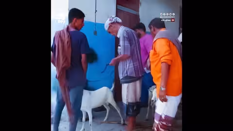 الهلال الأحمر الإماراتي يوزع أضاحي العيد في أبين