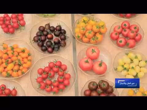 صين المال والأعمال: الخضراوات رمز للسعادة على المائدة