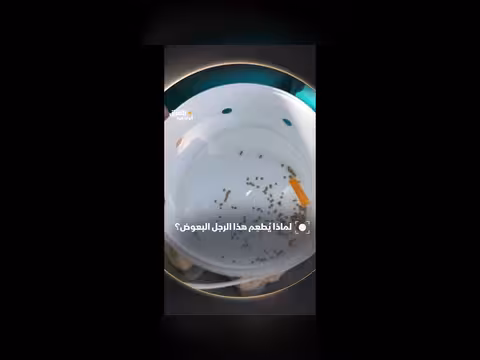 لماذا يطعم هذا الرجل البعوض؟