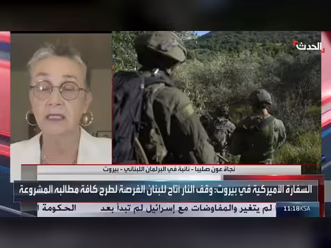 نجاة عون صليبا: التفاوض مع إسرائيل فرصة لوقف الحرب في لبنان