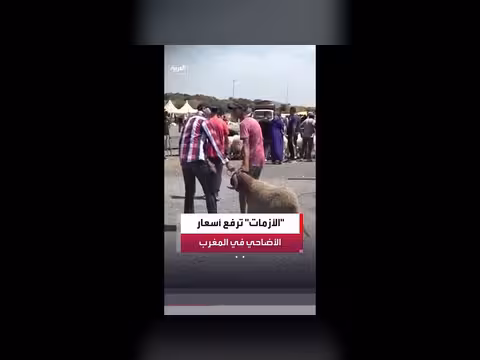 أزمات الوقود والأعلاف ترفع أسعار الأضاحي بالمغرب