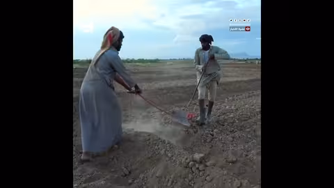 الجوف: مزارعون يتهمون الحوثيين بتوزيع بذور تالفة وتدمير الموسم الزراعي