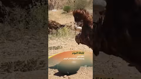 محتوى علمي وترفيهي من قناة الشرق ديسكفري
