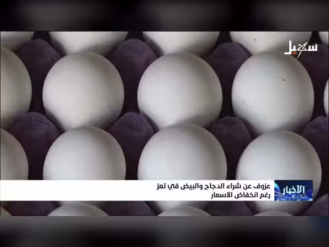 عزوف عن شراء الدجاج والبيض في تعز