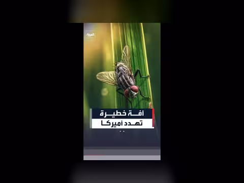الولايات المتحدة تسجل إصابة ثانية بآفة خطيرة