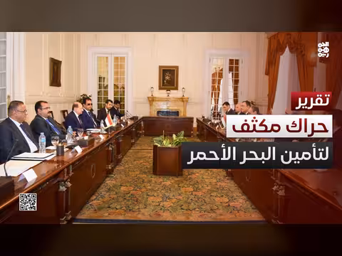 تحركات دول البحر الأحمر لتأمين الممر الحيوي