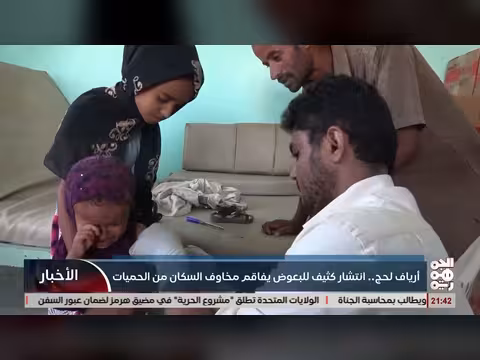 انتشار كثيف للبعوض في أرياف لحج