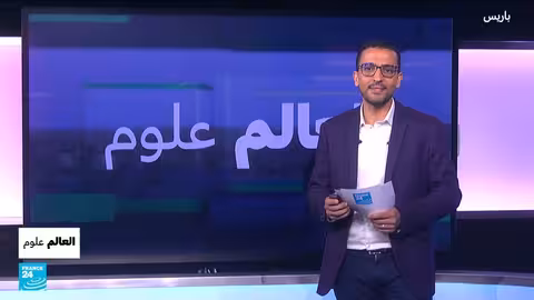 نقوش قديمة في صحراء النفود تكشف تاريخ الجزيرة العربية