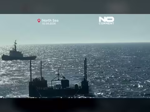 إنقاذ حوت أحدب وإطلاقه في بحر الشمال