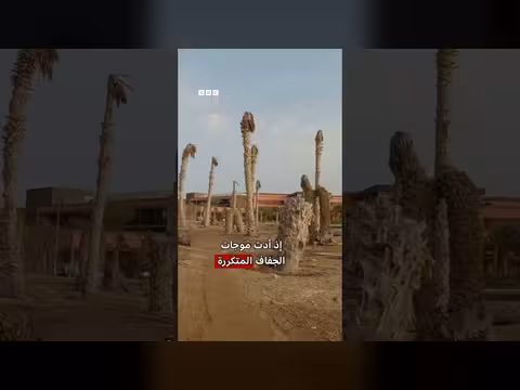 رأس الأخضر: قصة بطولية في كأس العالم
