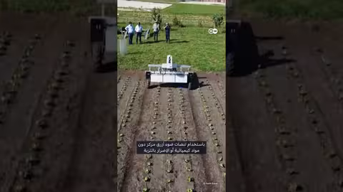 الروبوتات في الزراعة: تلقيح، رعي ذكي، ومراقبة المحاصيل