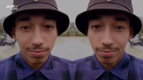 أسرار الدماغ: داخل عقل التوأم