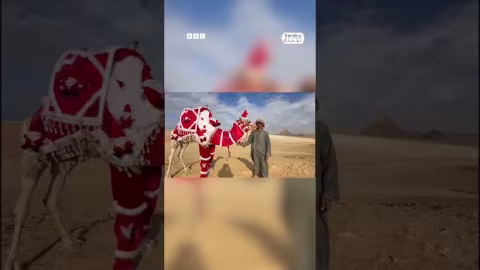 جمل يرتدي زي بابا نويل يجذب السياح في أهرامات الجيزة