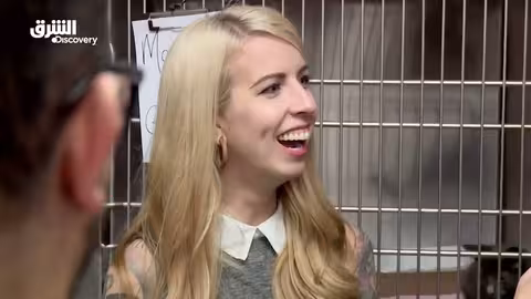 قوات إسرائيلية تعيق عمل الإسعاف في رام الله