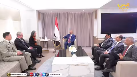 طارق صالح يناقش مع السفيرة الفرنسية الاستقرار والأمن البحري