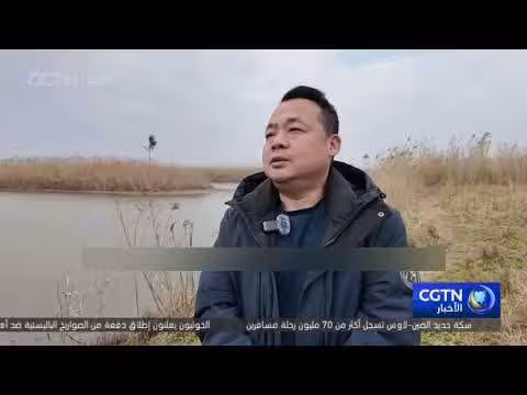 حماية الطيور المائية المهاجرة في بحيرة دونغتينغ