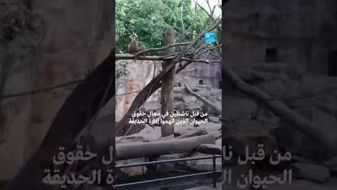 ألمانيا: ذبح 12 قرداً في حديقة حيوانات بسبب الاكتظاظ
