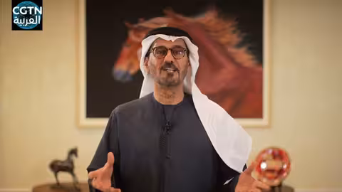 تهنئة سفير الإمارات الصين بمناسبة رأس السنة القمرية الجديدة