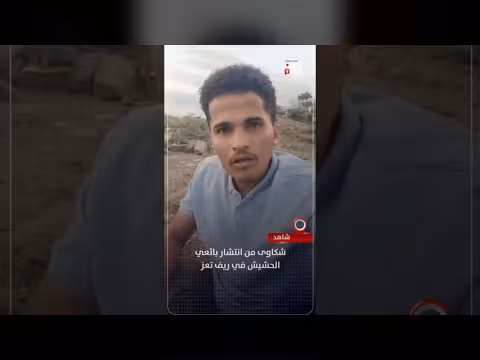 شكاوى من بائعي الحشيش في ريف تعز